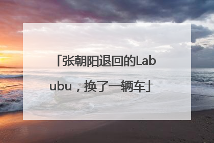张朝阳退回的Labubu，换了一辆车