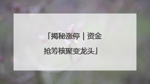 揭秘涨停｜资金抢筹核聚变龙头