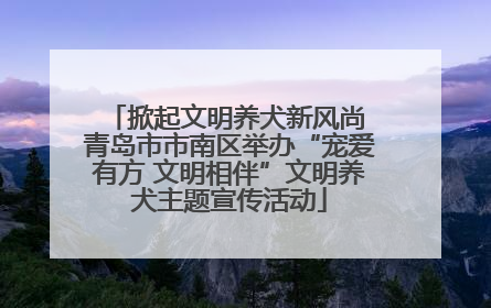 掀起文明养犬新风尚 青岛市市南区举办“宠爱有方 文明相伴”文明养犬主题宣传活动
