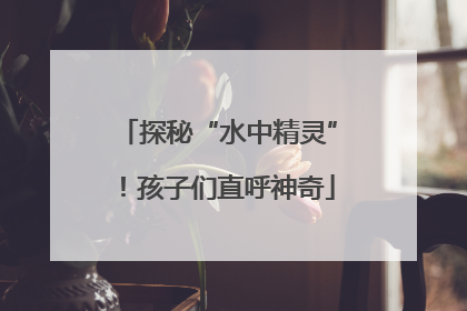 探秘“水中精灵”！孩子们直呼神奇