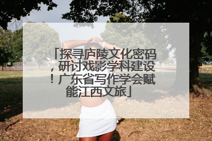 探寻庐陵文化密码，研讨戏影学科建设！广东省写作学会赋能江西文旅