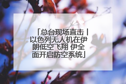 总台现场直击丨以色列无人机在伊朗低空飞翔 伊全面开启防空系统