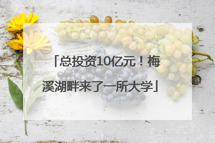 总投资10亿元！梅溪湖畔来了一所大学
