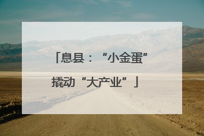 息县：“小金蛋”撬动“大产业”