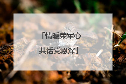 情暖荣军心 共话党恩深