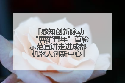 感知创新脉动 “蓉耀青年”首轮示范宣讲走进成都机器人创新中心
