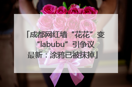 成都网红墙“花花”变“labubu”引争议 最新：涂鸦已被抹掉