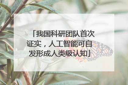 我国科研团队首次证实，人工智能可自发形成人类级认知