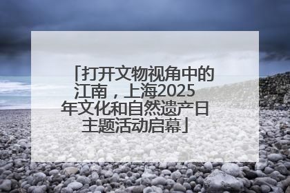 打开文物视角中的江南，上海2025年文化和自然遗产日主题活动启幕