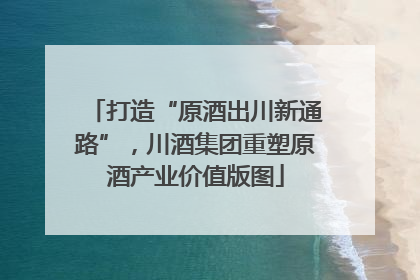 打造“原酒出川新通路”，川酒集团重塑原酒产业价值版图