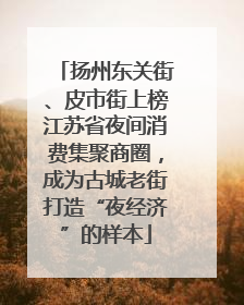 扬州东关街、皮市街上榜江苏省夜间消费集聚商圈，成为古城老街打造“夜经济”的样本