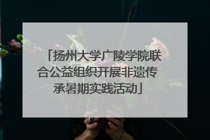 扬州大学广陵学院联合公益组织开展非遗传承暑期实践活动