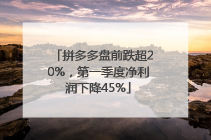 拼多多盘前跌超20%，第一季度净利润下降45%