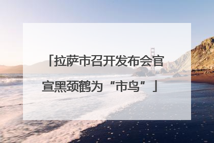 拉萨市召开发布会官宣黑颈鹤为“市鸟”