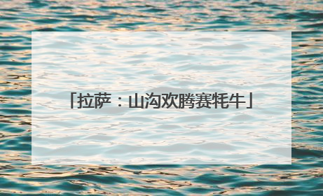 拉萨：山沟欢腾赛牦牛