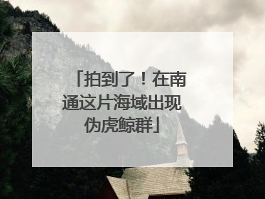 拍到了！在南通这片海域出现伪虎鲸群