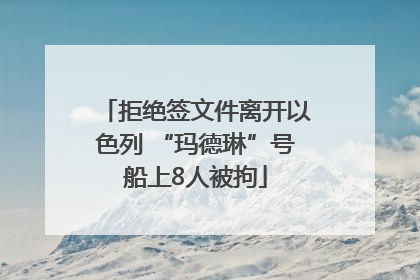 拒绝签文件离开以色列 “玛德琳”号船上8人被拘