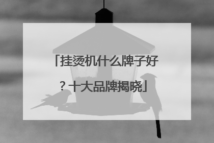 挂烫机什么牌子好？十大品牌揭晓