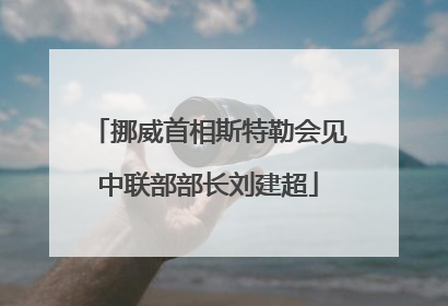 挪威首相斯特勒会见中联部部长刘建超