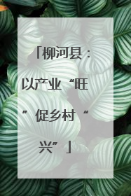 柳河县：以产业“旺”促乡村“兴”