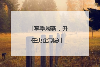 李季履新，升任央企副总