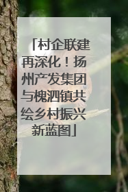 村企联建再深化！扬州产发集团与槐泗镇共绘乡村振兴新蓝图