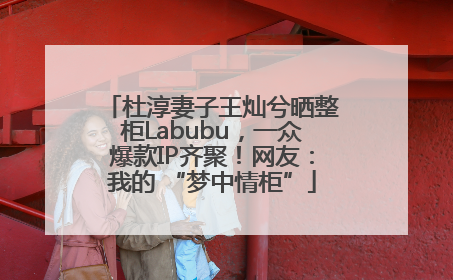 杜淳妻子王灿兮晒整柜Labubu，一众爆款IP齐聚！网友：我的 “梦中情柜”
