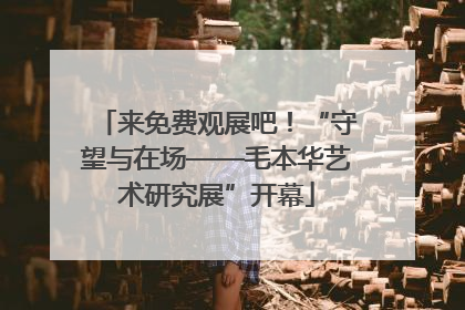 来免费观展吧！“守望与在场——毛本华艺术研究展”开幕