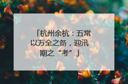 杭州余杭：五常以万全之备，迎汛期之“考”