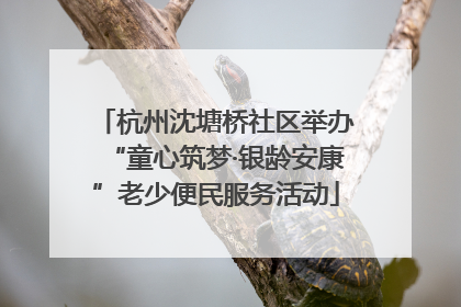 杭州沈塘桥社区举办“童心筑梦·银龄安康”老少便民服务活动