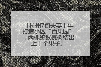 杭州7旬夫妻十年打造小区“百果园”，两棵猕猴桃树结出上千个果子