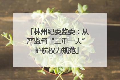 林州纪委监委：从严监督“三重一大” 护航权力规范