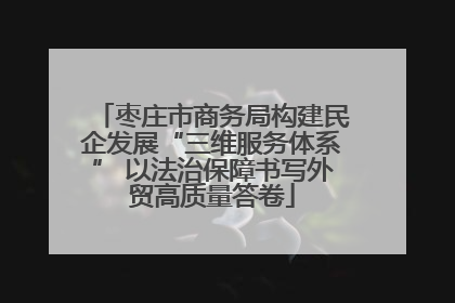 枣庄市商务局构建民企发展“三维服务体系” 以法治保障书写外贸高质量答卷