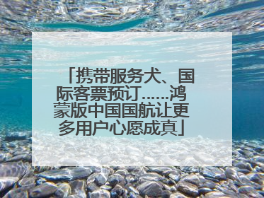 携带服务犬、国际客票预订……鸿蒙版中国国航让更多用户心愿成真