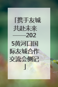 携手友城 共赴未来——2025黄河口国际友城合作交流会侧记