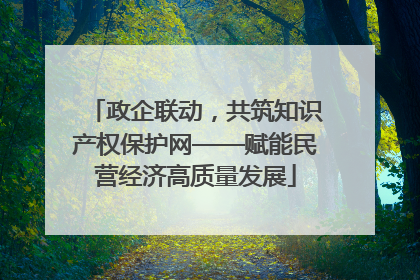 政企联动，共筑知识产权保护网——赋能民营经济高质量发展