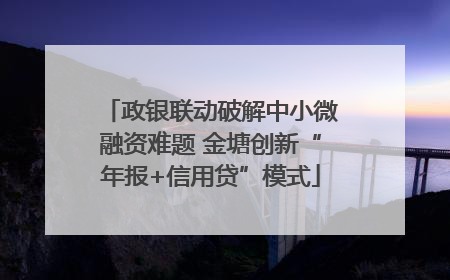 政银联动破解中小微融资难题 金塘创新“年报+信用贷”模式