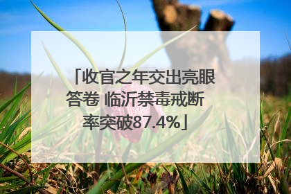 收官之年交出亮眼答卷 临沂禁毒戒断率突破87.4%