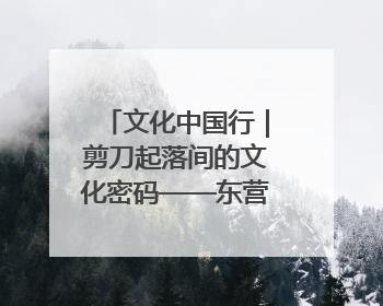 文化中国行｜剪刀起落间的文化密码——东营剪纸“剪”出非遗传承与现代生活的融合之道