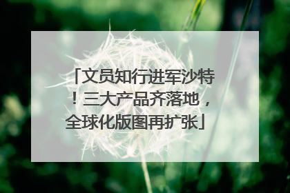 文员知行进军沙特！三大产品齐落地，全球化版图再扩张