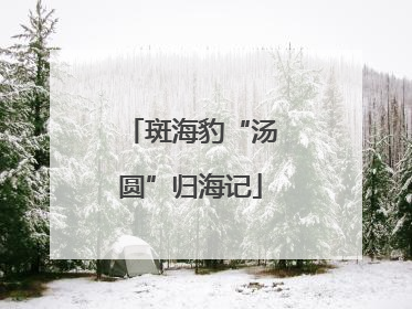 斑海豹“汤圆”归海记