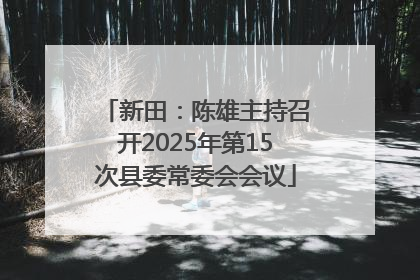 新田：陈雄主持召开2025年第15次县委常委会会议
