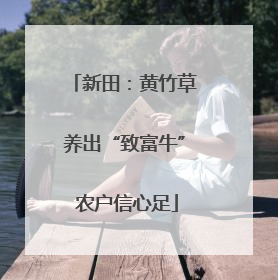 新田：黄竹草养出“致富牛” 农户信心足