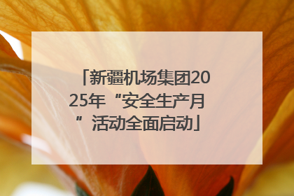 新疆机场集团2025年“安全生产月”活动全面启动
