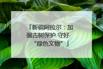 新疆阿拉尔：加强古树保护 守好“绿色文物”