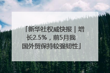 新华社权威快报｜增长2.5%，前5月我国外贸保持较强韧性