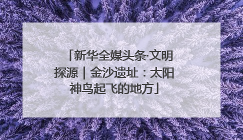 新华全媒头条·文明探源｜金沙遗址：太阳神鸟起飞的地方