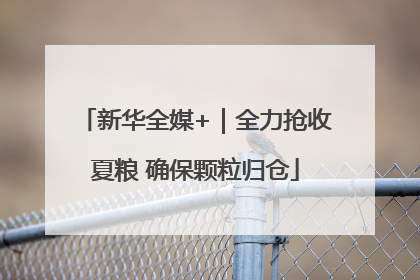 新华全媒+｜全力抢收夏粮 确保颗粒归仓