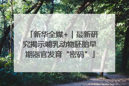 新华全媒+｜最新研究揭示哺乳动物胚胎早期器官发育“密码”
