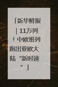 新华鲜报｜11万列！中欧班列跑出亚欧大陆“新时速”
